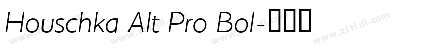Houschka Alt Pro Bol字体转换